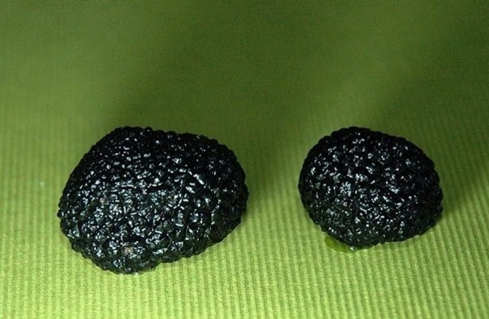 11.zomertruffels (350K)