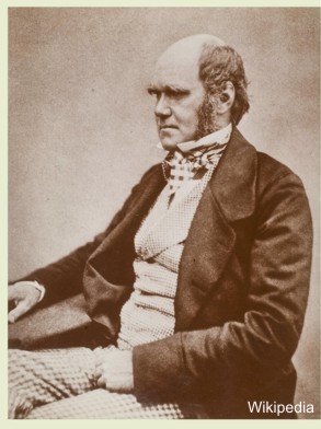 3.darwin